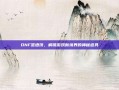 DNF签语饼，解锁游戏新境界的神秘道具