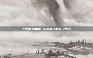 力士加点实战指南，基础配置与进阶技巧全解析