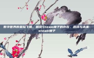 数字世界的星际飞船，解读Steam梯子的存在、选择与未来-steam梯子