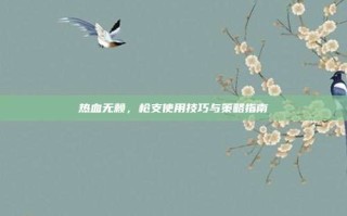 热血无赖，枪支使用技巧与策略指南