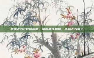 战国无双2攻略指南，掌握战斗精髓，成就无双霸主