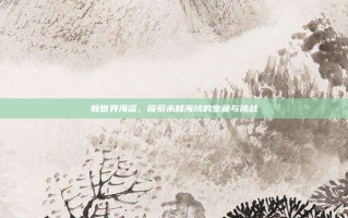 新世界海盗，探索未知海域的宝藏与挑战