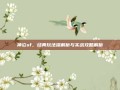 神泣sf，经典玩法深解析与实战攻略解析