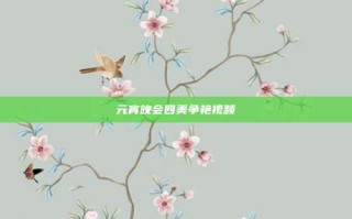 元宵晚会四美争艳视频
