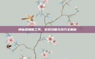 神仙道辅助工具，游戏攻略与技巧全解析