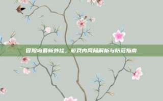 冒险岛最新外挂，游戏内风险解析与防范指南