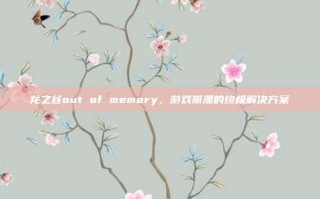 龙之谷out of memory，游戏崩溃的终极解决方案