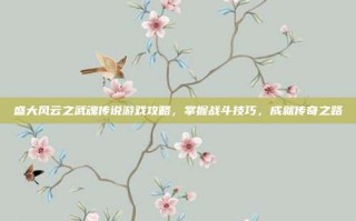 盛大风云之武魂传说游戏攻略，掌握战斗技巧，成就传奇之路