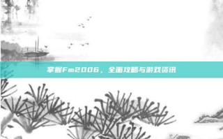 掌握Fm2006，全面攻略与游戏资讯
