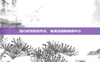 浩方游戏对战平台，电竞战场的指挥中心
