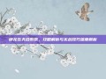 御龙在天合紫装，攻略解析与实战技巧深度解析