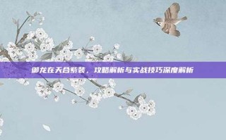 御龙在天合紫装，攻略解析与实战技巧深度解析