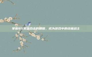 掌握85英雄合击的精髓，成为游戏中的终极战士