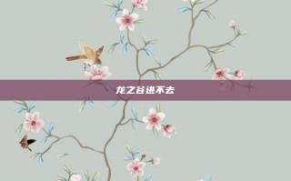 龙之谷进不去