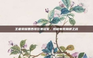王者荣耀墨西哥比赛冠军，揭秘电竞巅峰之战