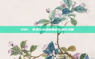 DNF，传承玩法深度解析与进阶攻略