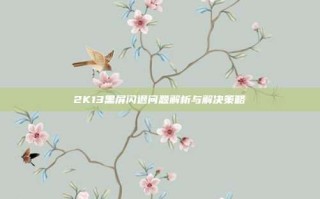 2K13黑屏闪退问题解析与解决策略