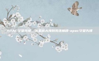 APAC守望先锋，从星辰大海到竞逐巅峰-apac守望先锋