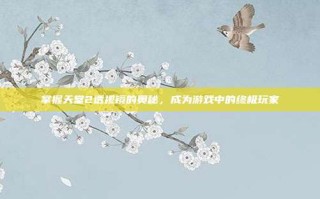 掌握天堂2透视镜的奥秘，成为游戏中的终极玩家