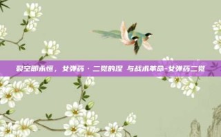 裂空即永恒，女弹药·二觉的涅槃与战术革命-女弹药二觉
