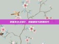 掌握无主之地2，技能翻译与使用技巧