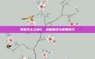掌握无主之地2，技能翻译与使用技巧