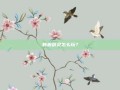 韩服剑灵怎么玩？