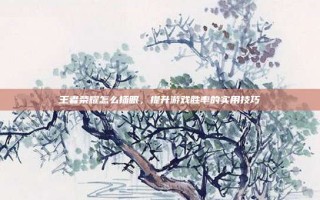 王者荣耀怎么插眼，提升游戏胜率的实用技巧