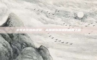 去死去死团的逆袭，从草根到巅峰的破局之路