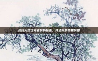 揭秘火炬之光套装的秘密，打造你的终极装备