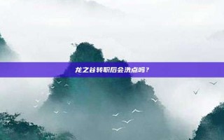 龙之谷转职后会洗点吗？