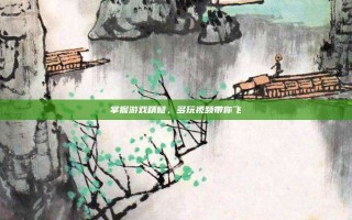 掌握游戏精髓，多玩视频带你飞