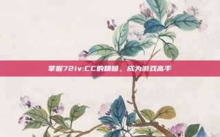 掌握72iv:CC的精髓，成为游戏高手
