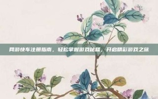 网游快车注册指南，轻松掌握游戏秘籍，开启精彩游戏之旅