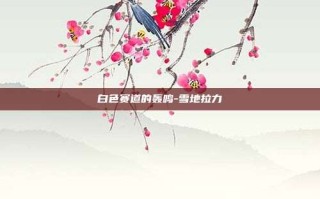 白色赛道的轰鸣-雪地拉力