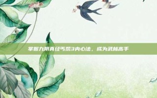 掌握九阴真经丐帮3内心法，成为武林高手