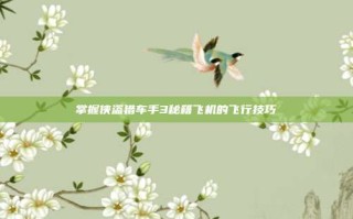 掌握侠盗猎车手3秘籍飞机的飞行技巧
