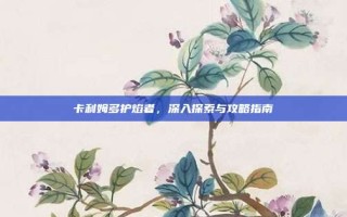 卡利姆多护焰者，深入探索与攻略指南