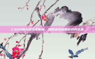 CSGO换天技巧全解析，如何高效利用游戏内资源