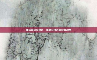 体坛篮球经理2，策略与技巧的完美融合