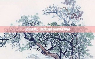 兰总宝珠，游戏攻略与技巧全解析