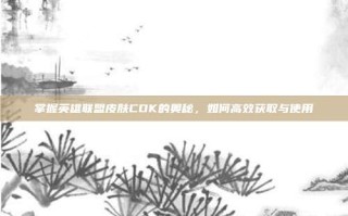掌握英雄联盟皮肤CDK的奥秘，如何高效获取与使用