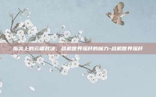 指尖上的云端对决，战机世界摇杆的魔力-战机世界摇杆