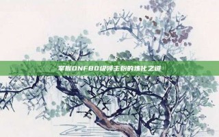 掌握DNF80级领主粉的炼化之道