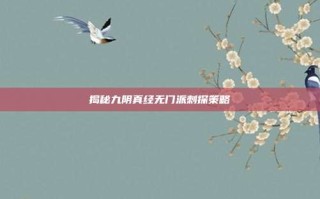 揭秘九阴真经无门派刺探策略