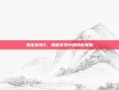 机密武装2，揭秘游戏中的隐秘策略