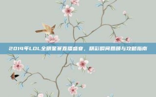 2014年LOL全明星赛直播盛宴，精彩瞬间回顾与攻略指南