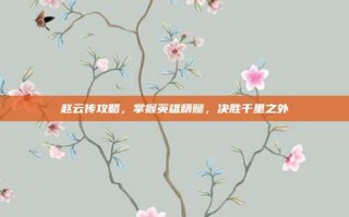 赵云传攻略，掌握英雄精髓，决胜千里之外