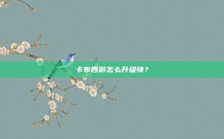 卡布西游怎么升级快？