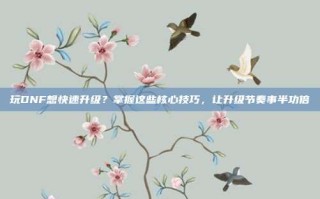 玩DNF想快速升级？掌握这些核心技巧，让升级节奏事半功倍
